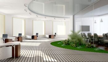 Chăm sóc cây tốn nhiều chi phí hơn bạn nghĩ